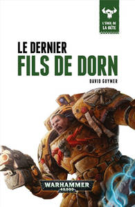 Le Dernier Fils de Dorn (couverture française)